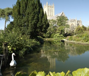 Wells Cathedral Reflecting Pool