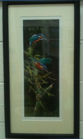 Kingfisher - giclee print