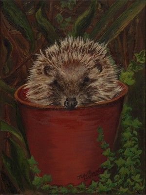 Potted Hedgehog Prints
