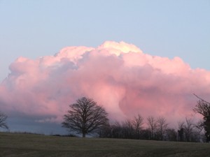 Pink cloud, A4 print