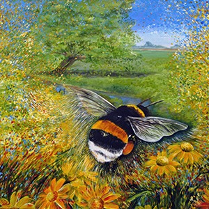 Bombus in the Meadow - giclee print from £45