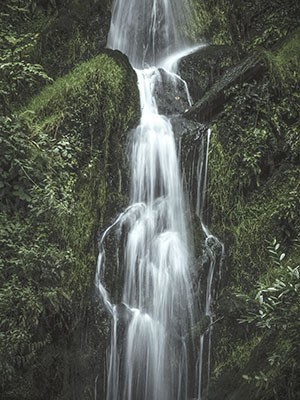 Falling Water - Print on Canvas