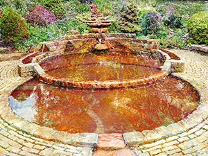 Chalice Well 2